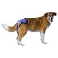 Poochpad Poochpad PPXL01 X-Large PoochPant PPXL01